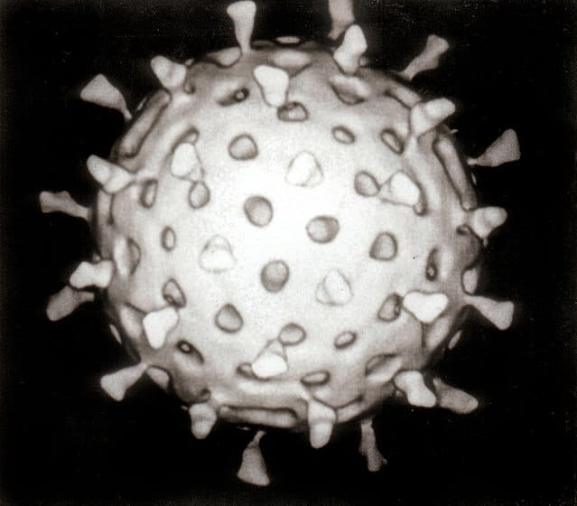 रोटावाइरस Rotavirus