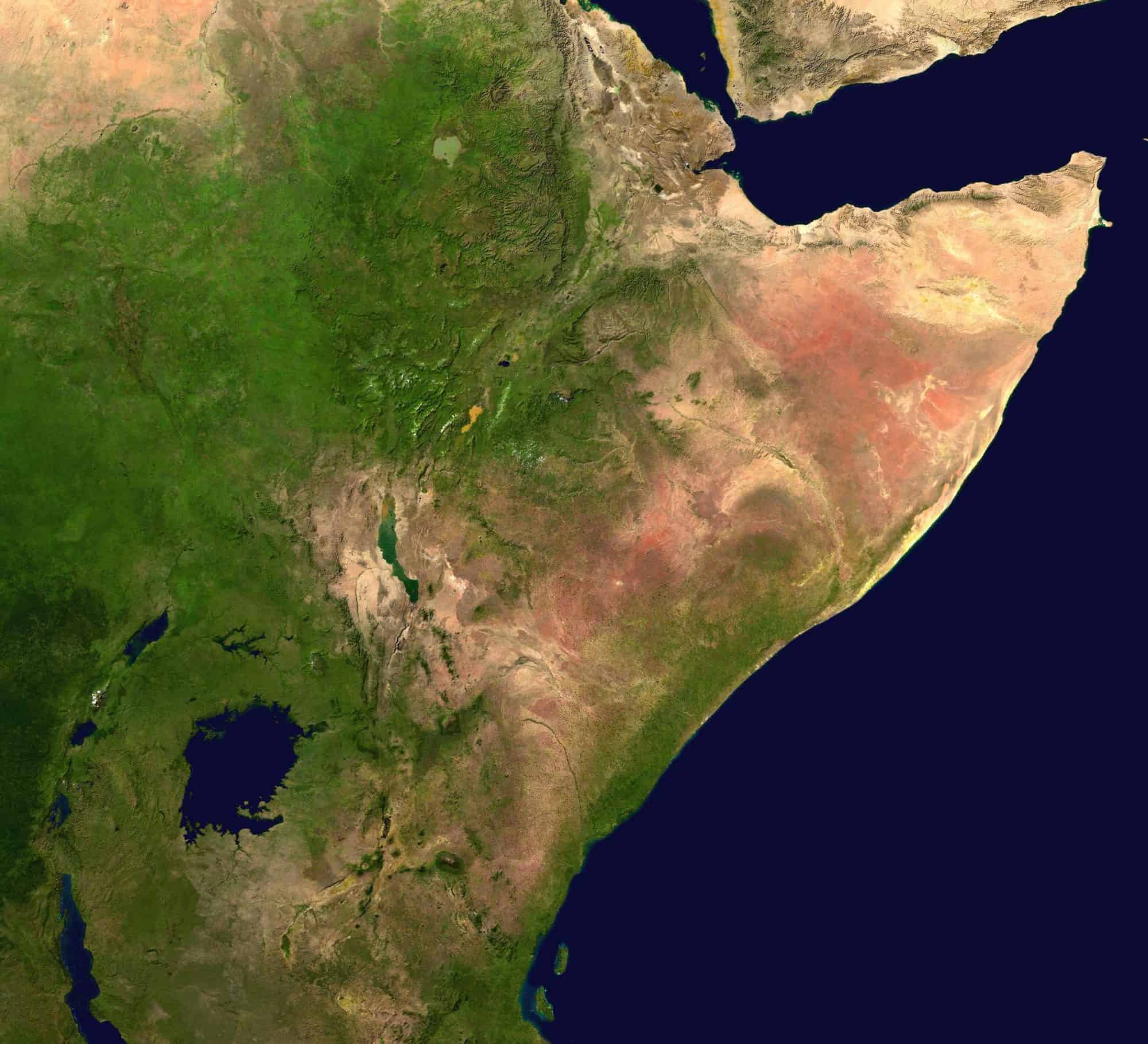 होर्न ऑफ अफ्रीका पर इतावली विजय Italian conquest of the Horn of Africa