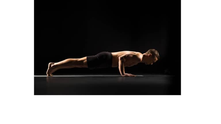 चतुरंग दंडासन 3