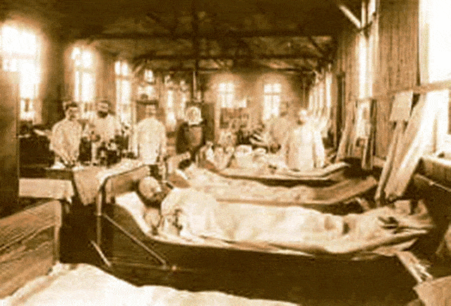 पांचवें हैजा महामारी The fifth cholera pandemic