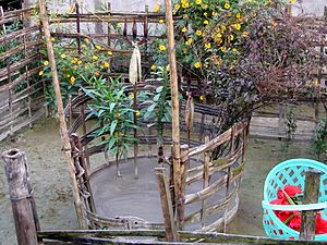 बथो पूजा Bathow Puja