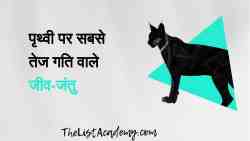 39 सबसे तेज गति वाले जीव-जंतु 4