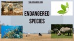 75 Endangered Species of the World -thelistAcademy