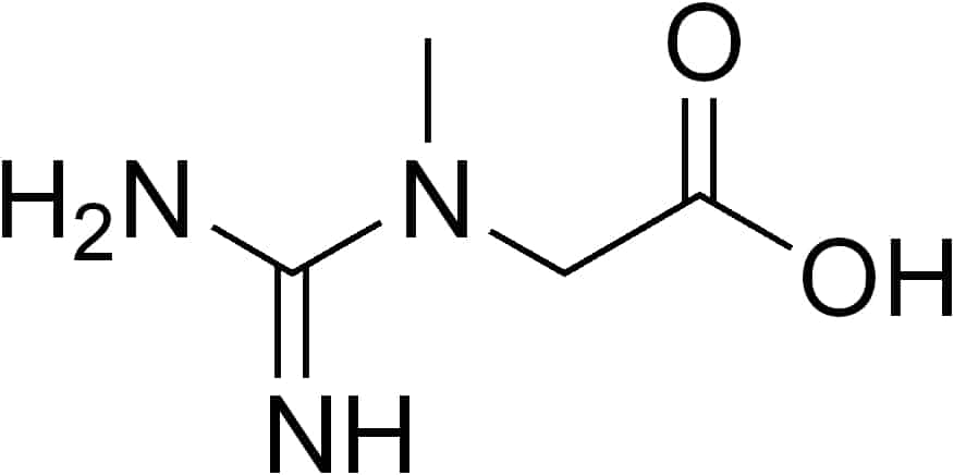 Guanidinoacetate Methyltransferase Deficiency