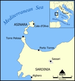 Island of Asinara