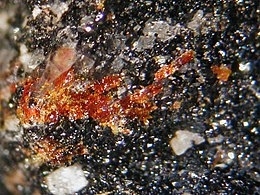 Asisite