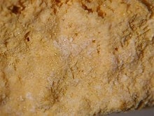 Avogadrite