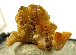Boltwoodite
