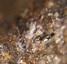 Brianite