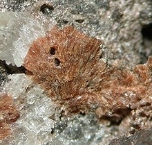 Cabalzarite