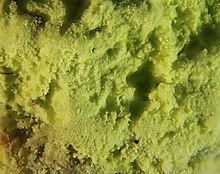 Cadwaladerite