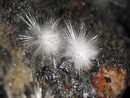 Canavesite