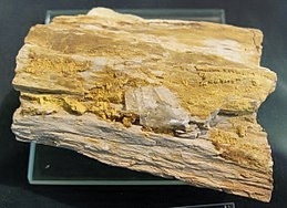 Carnotite