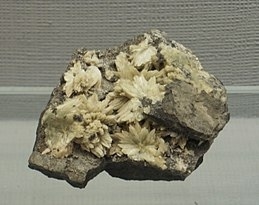 Collinsite