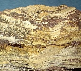 Corderoite