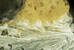 Zakharovite