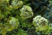 Zellerite