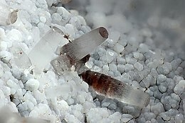 Erionite