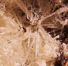 Fluoborite