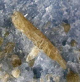Fluorellestadite