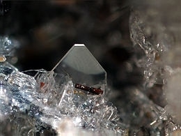 Forsterite