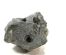 Hauerite