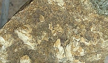 Hydroxyapatite