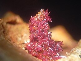 Iranite