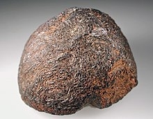 Ixiolite