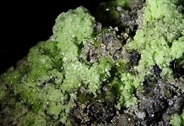 Johannite