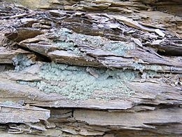 Melanterite