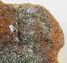 Minnesotaite