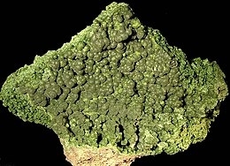 Mottramite