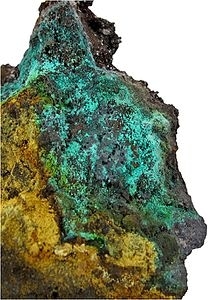 Niedermayrite
