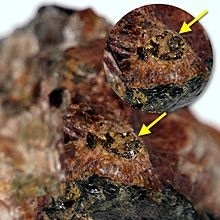 Oxyyttropyrochlore-(Y)