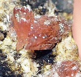 Sarkinite