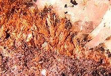 Sursassite